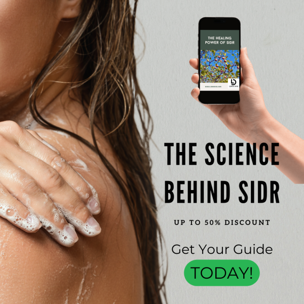 The Healing Power of Sidr