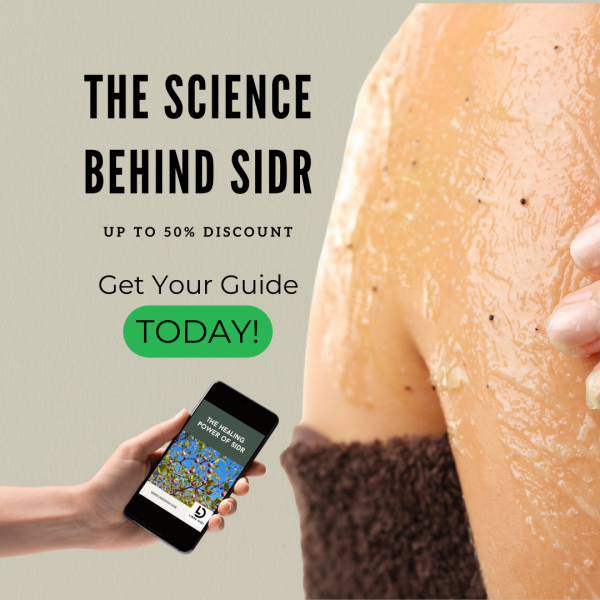 The Healing Power of Sidr